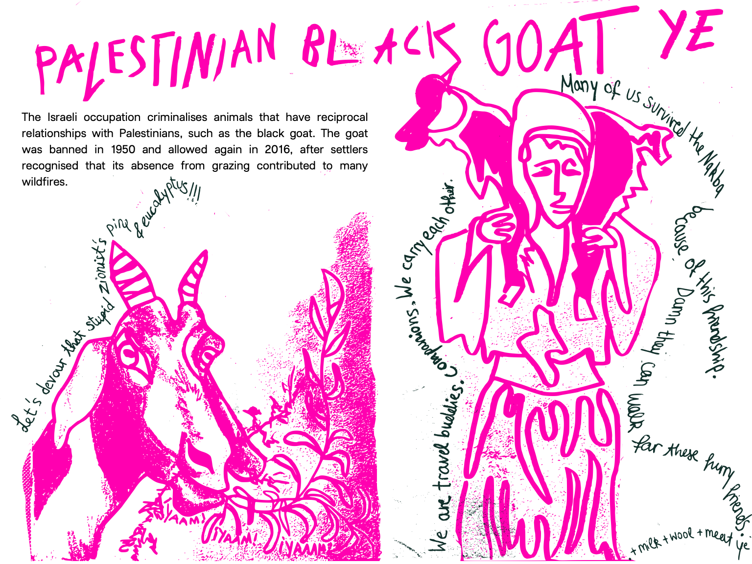Olive harvest zine, page 6 of 12